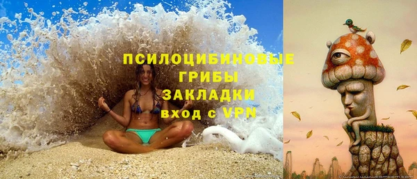 марки nbome Богданович