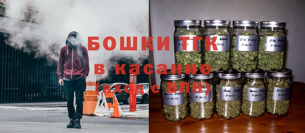 трава Белокуриха
