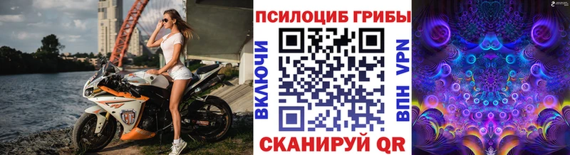 Галлюциногенные грибы мухоморы  купить наркотик  Мирный 
