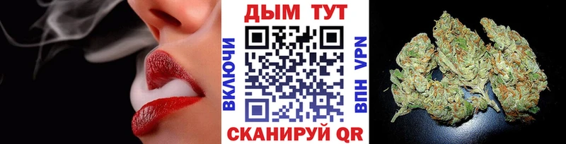 где купить наркоту  Мирный  Каннабис ГИДРОПОН 